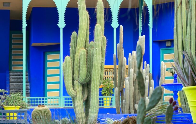 Guided tour of Marrakech with a local – Majorelle Garden, Medina & Souks