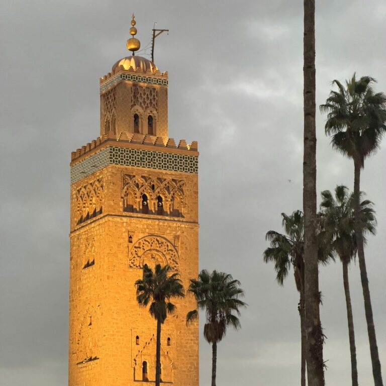marrakech guided tours